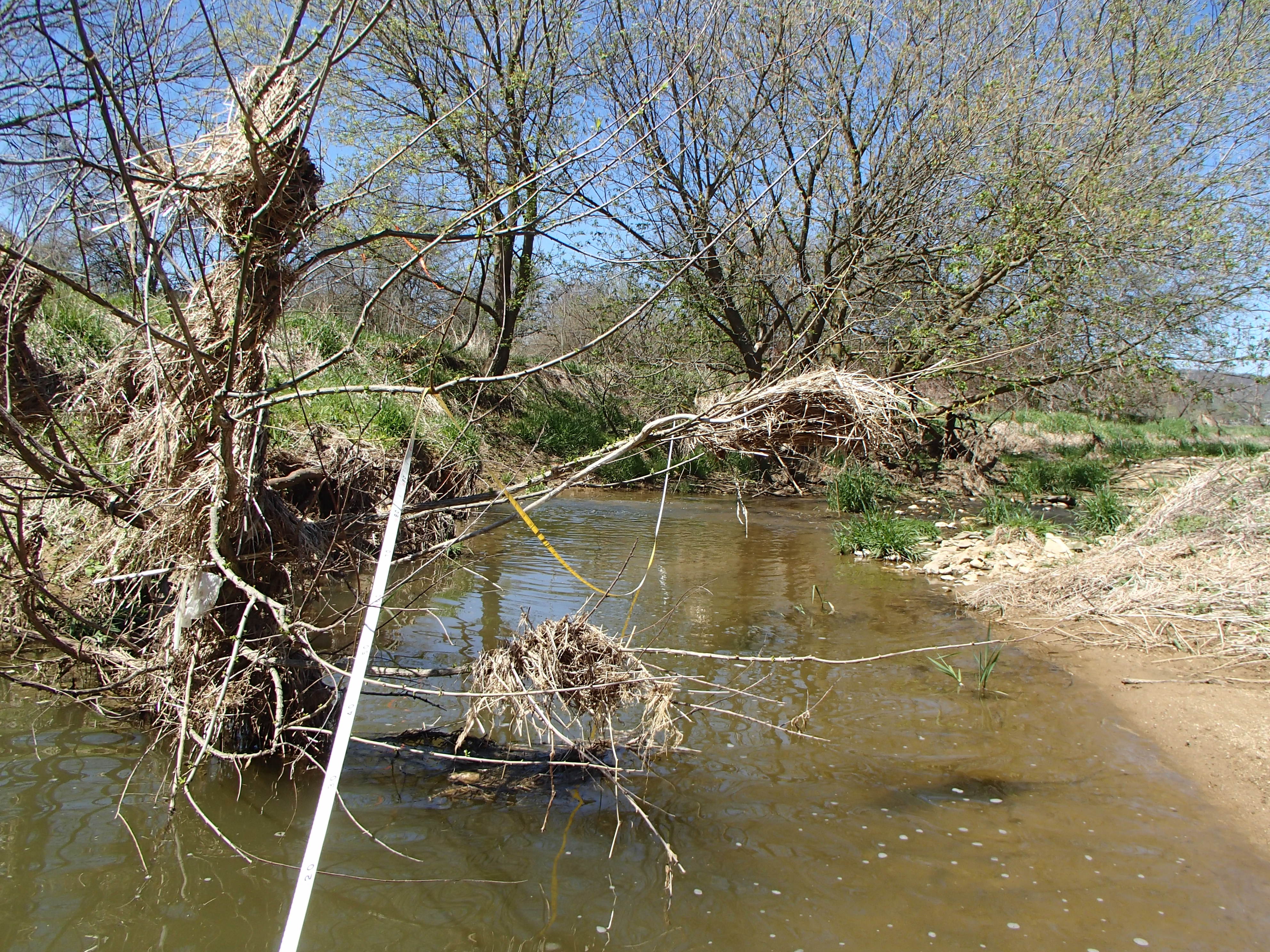 Field photo showing stream conditions at site PRFR-203-X-2016_Midpoint looking upstream